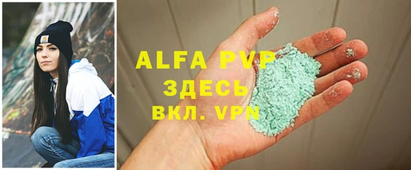 индика Аркадак
