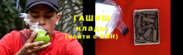 индика Аркадак