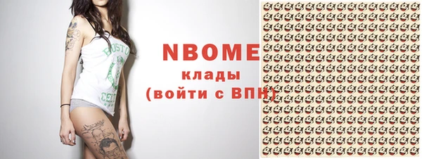 индика Аркадак